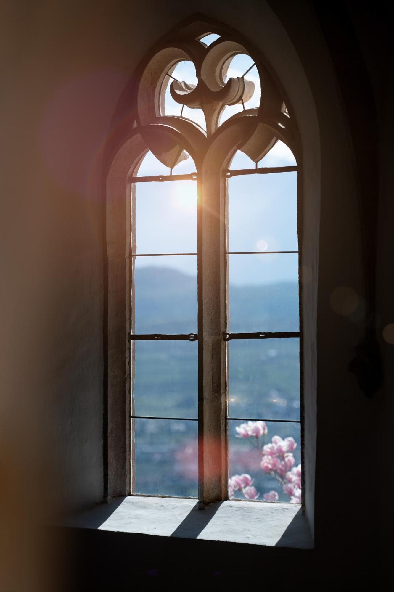 Schloss Freudenstein Апиано сула Страда дел Вино Екстериор снимка